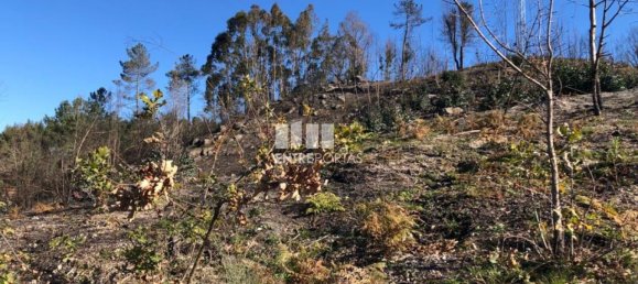  قطعة أرض في Baiao, Portugal 1320متر مربع رقم 56156 9