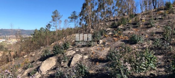  قطعة أرض في Baiao, Portugal 1320متر مربع رقم 56156 15