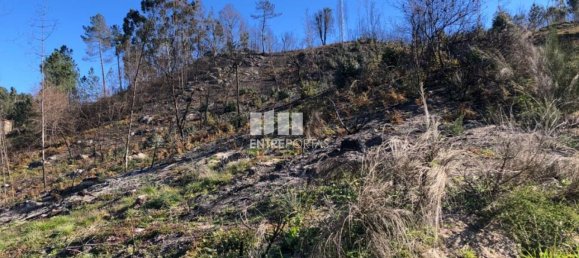  قطعة أرض في Baiao, Portugal 1320متر مربع رقم 56156 5