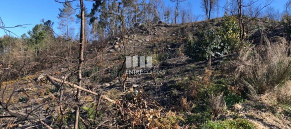  قطعة أرض في Baiao, Portugal 1320متر مربع رقم 56156 23