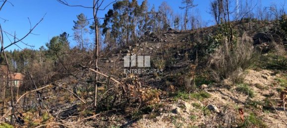  قطعة أرض في Baiao, Portugal 1320متر مربع رقم 56156 7