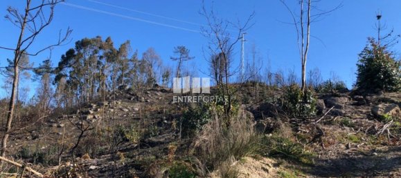  قطعة أرض في Baiao, Portugal 1320متر مربع رقم 56156 16