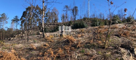  قطعة أرض في Baiao, Portugal 1320متر مربع رقم 56156 22