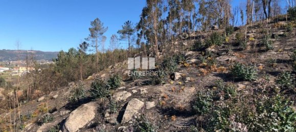  قطعة أرض في Baiao, Portugal 1320متر مربع رقم 56156 13