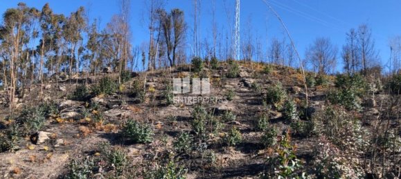  قطعة أرض في Baiao, Portugal 1320متر مربع رقم 56156 12