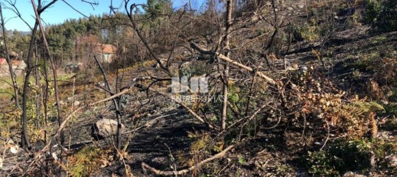  قطعة أرض في Baiao, Portugal 1320متر مربع رقم 56156 24