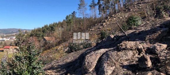  قطعة أرض في Baiao, Portugal 1320متر مربع رقم 56156 8