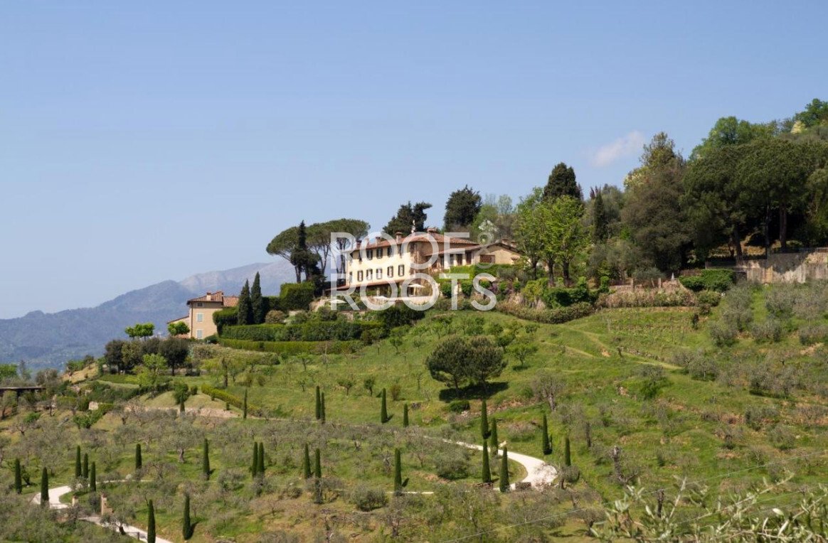 12 bedrooms Villa in Lucca, Italy No. 50824