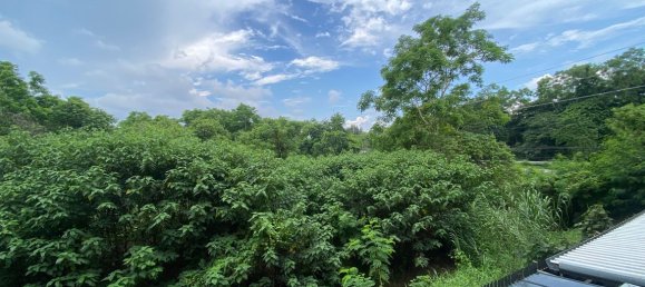 4 Schlafzimmer Haus in Chiang Mai, Thailand, Nr. 68550 22