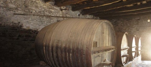 7 bedrooms House in Peso da Regua, Portugal No. 142775 16