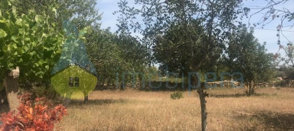 4 غرف نوم منزل في Silves, Portugal رقم 118317 8