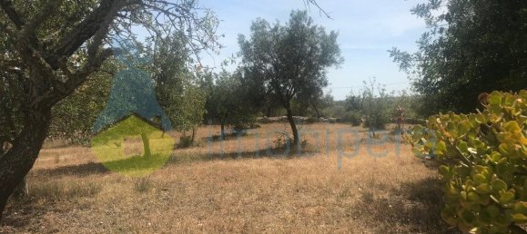 4 غرف نوم منزل في Silves, Portugal رقم 118317 9