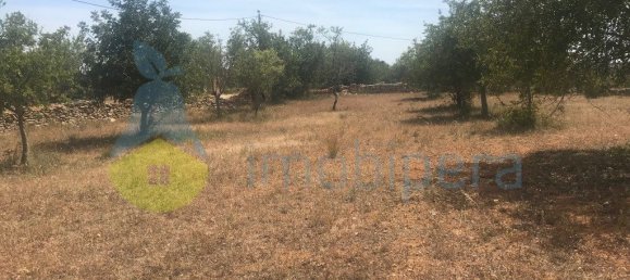 4 غرف نوم منزل في Silves, Portugal رقم 118317 37