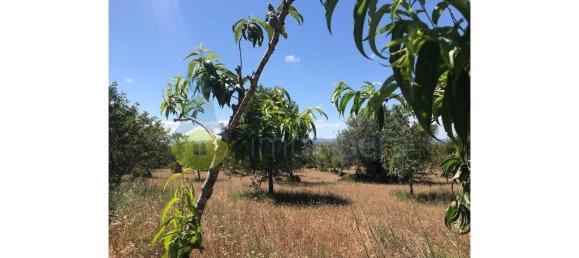 4 غرف نوم منزل في Silves, Portugal رقم 118317 21