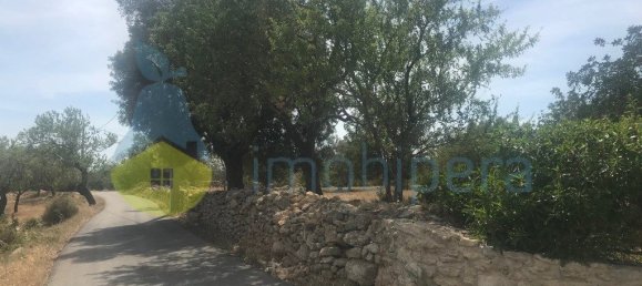 4 غرف نوم منزل في Silves, Portugal رقم 118317 34