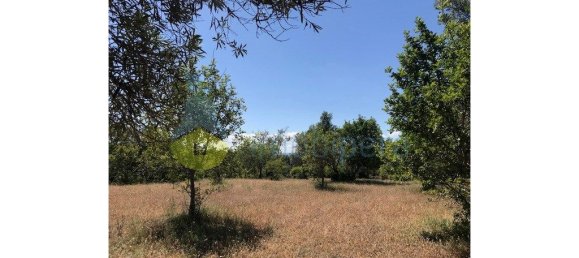 4 غرف نوم منزل في Silves, Portugal رقم 118317 38