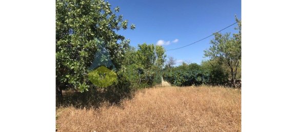 4 غرف نوم منزل في Silves, Portugal رقم 118317 35