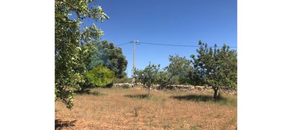 4 غرف نوم منزل في Silves, Portugal رقم 118317 40