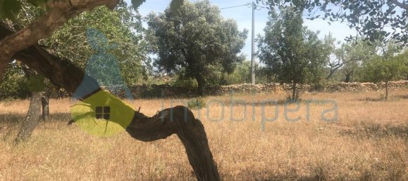 4 غرف نوم منزل في Silves, Portugal رقم 118317 6