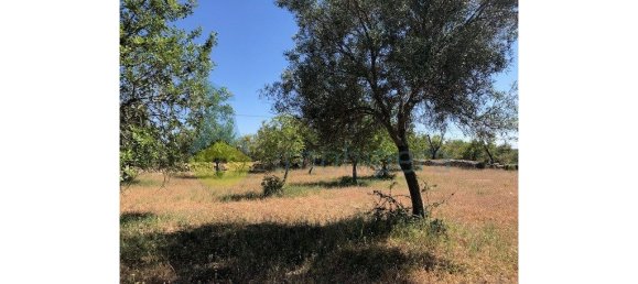 4 غرف نوم منزل في Silves, Portugal رقم 118317 36