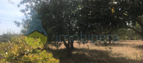 4 غرف نوم منزل في Silves, Portugal رقم 118317 11