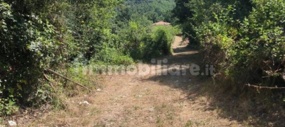 30000m² Building in Atena Lucana, Italy No. 273310 3