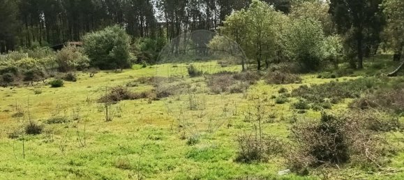 Земельный участок 1766м² в Орен, Португалия № 79649 6