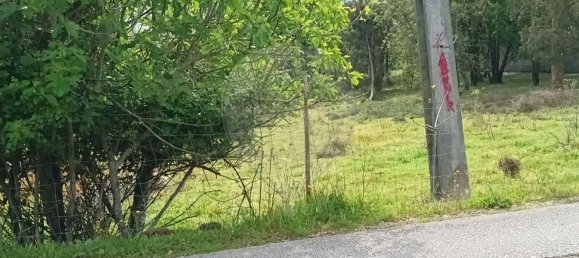 Земельный участок 1766м² в Орен, Португалия № 79649 3