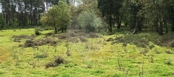 Земельный участок 1766м² в Орен, Португалия № 79649 5