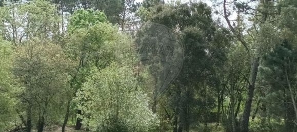 Земельный участок 1766м² в Орен, Португалия № 79649 4