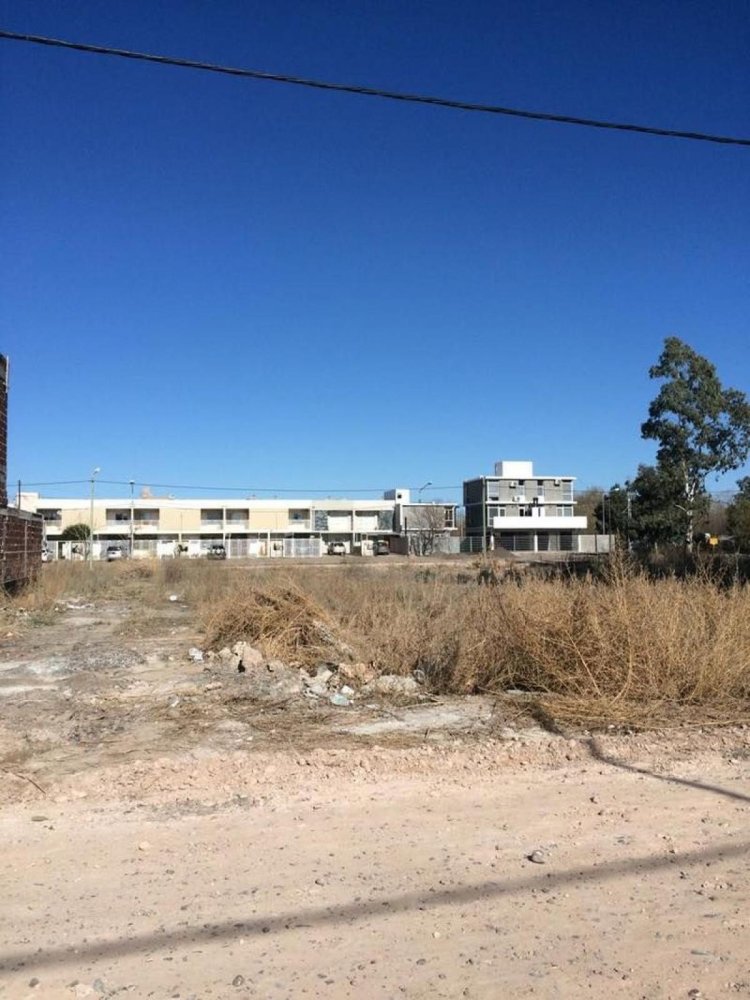  Land in Neuquen, Argentina No. 46543