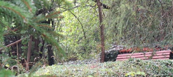 3 bedrooms House in Sigmaringen, Germany No. 331036 7