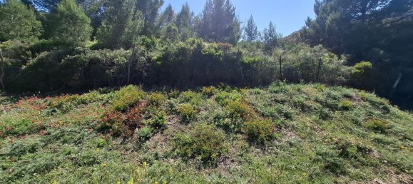  Land in Tarifa, Spain No. 190951 3