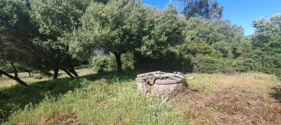  Land in Tarifa, Spain No. 190951 11