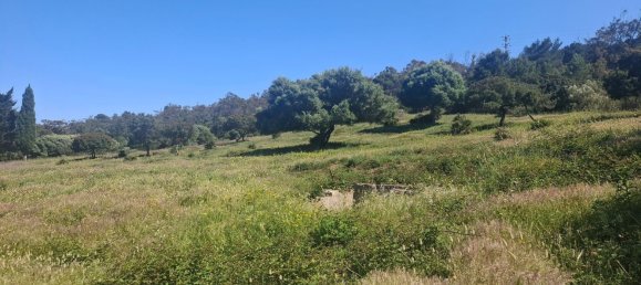  Land in Tarifa, Spain No. 190951 7