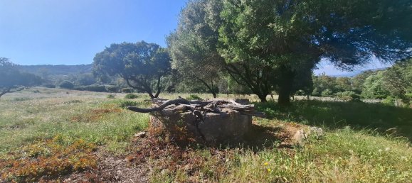  Land in Tarifa, Spain No. 190951 6