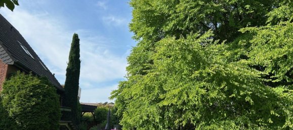 Adosado de 3 dormitorios en Peine, Germany No. 221622 8