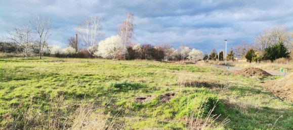 Grundstück in Salzlandkreis, Germany, Nr. 217916 3