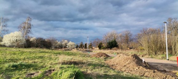 Grundstück in Salzlandkreis, Germany, Nr. 217916 2