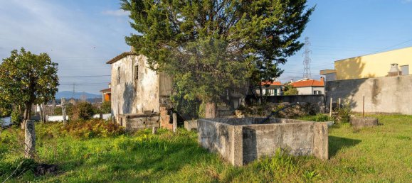 2 Schlafzimmer Haus in Braga, Portugal, Nr. 42593 7