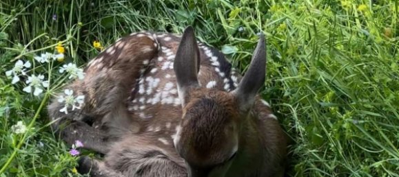 5غرفة فيلا في Borgorose, Italy رقم 279552 45