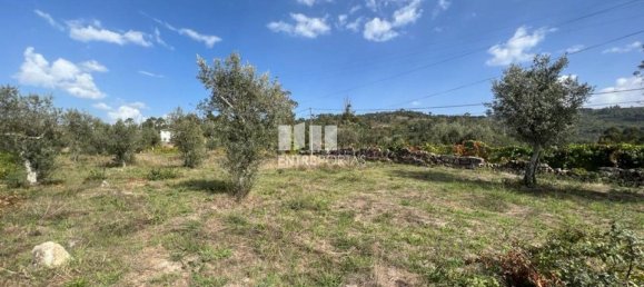 Terreno en Soalhaes, Portugal 17350 m² No. 49764 16