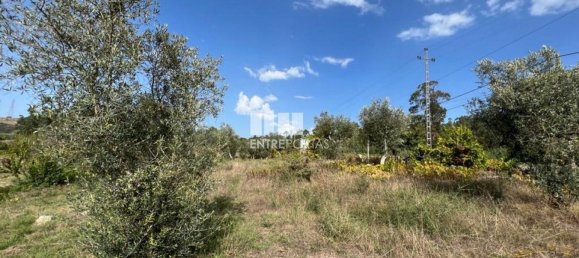 Terreno en Soalhaes, Portugal 17350 m² No. 49764 13