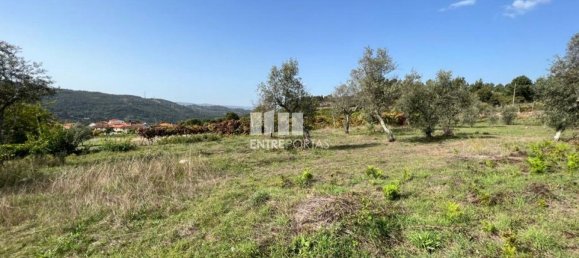 Terreno en Soalhaes, Portugal 17350 m² No. 49764 8