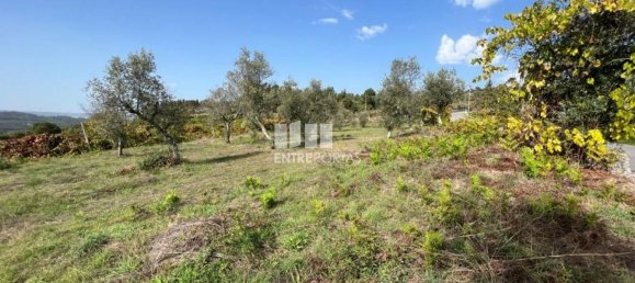 Terreno en Soalhaes, Portugal 17350 m² No. 49764 9