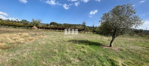 Terreno en Soalhaes, Portugal 17350 m² No. 49764 5