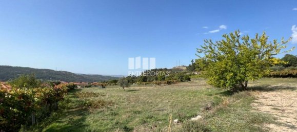 Terreno en Soalhaes, Portugal 17350 m² No. 49764 19