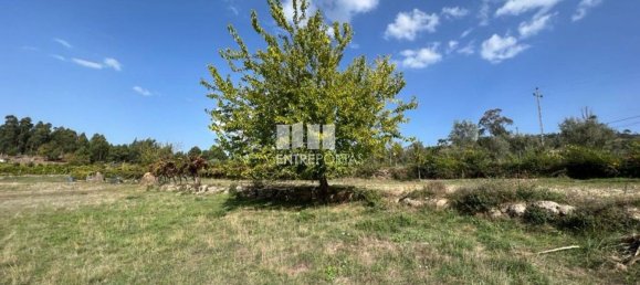 Terreno en Soalhaes, Portugal 17350 m² No. 49764 22