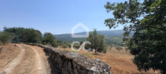 21000m² Land in Carrapichana, Portugal No. 221656 8