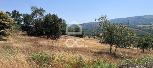 21000m² Land in Carrapichana, Portugal No. 221656 11